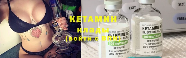 крисы Алексин