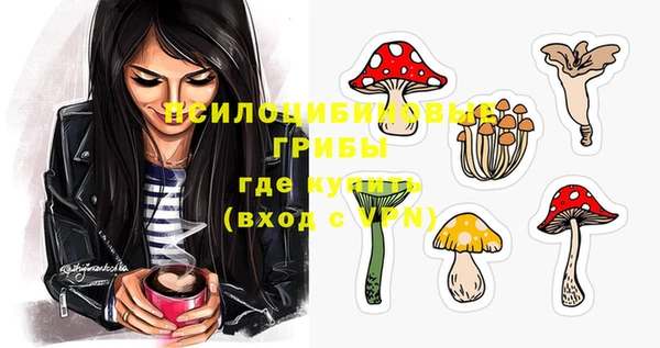 крисы Алексин